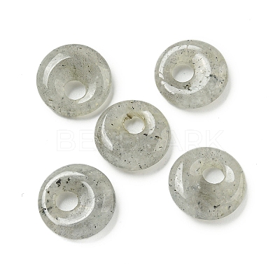 Natural Labradorite Donut/Pi Disc Charms G-G142-02Q-1
