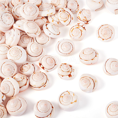 Natural Spiral Shell Red Lip Shell Beads BSHE-TA0002-02-1