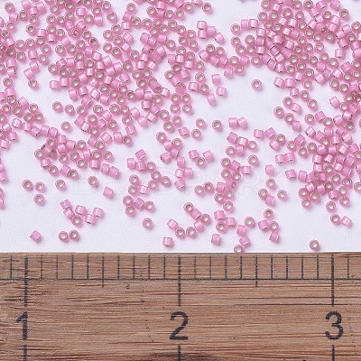 MIYUKI Delica Beads SEED-X0054-DB0625-1