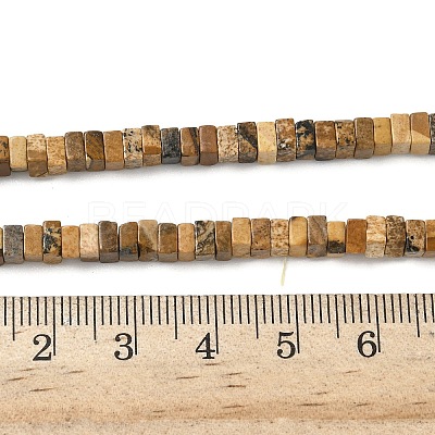 Natural Picture Jasper Beads Strands G-I394-A01-1