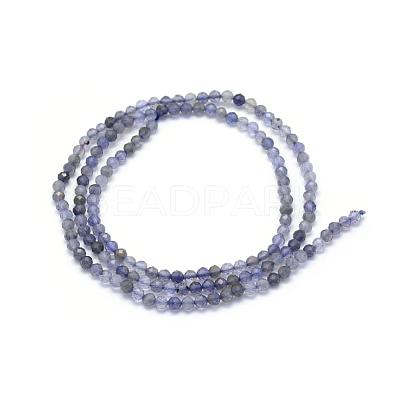Natural Cordierite/Iolite/Dichroite Beads Strands G-E411-39-2mm-1