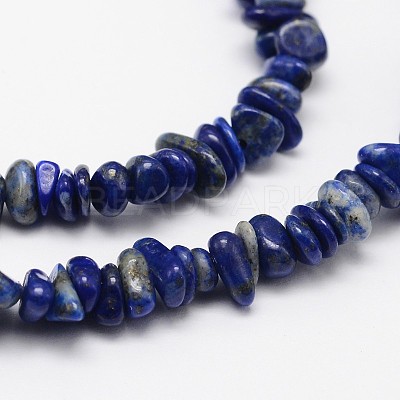 Chips Natural Lapis Lazuli Beads Strands X-G-N0164-46-1