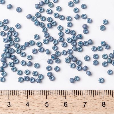 MIYUKI Round Rocailles Beads X-SEED-G008-RR2030-1