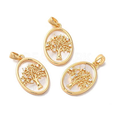 Brass Shell Pendants KK-M243-34G-1