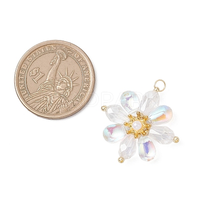 Glass Beaded Pendants PALLOY-MZ01186-01-1