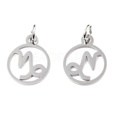 Non-Tarnish 304 Stainless Steel Charms STAS-T036-T513-A10-1