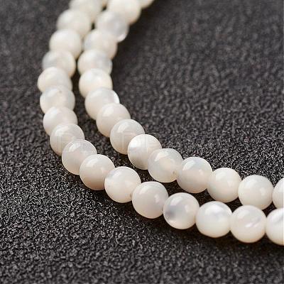 Natural White Shell Beads Strands G-G680-54-1