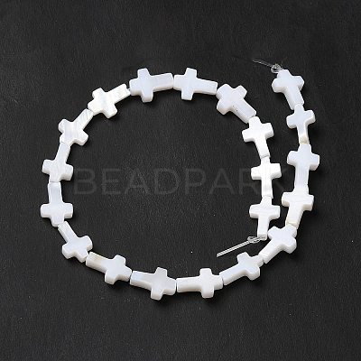 Natural Freshwater Shell Beads Strands BSHE-E026-18-1