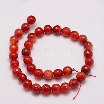 Natural Striped Agate/Banded Agate Bead Strands G-G882-10mm-D03-1
