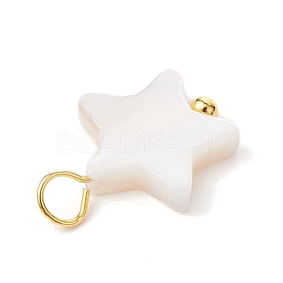 Natural Freshwater Shell Pendants PALLOY-JF02416-02-1
