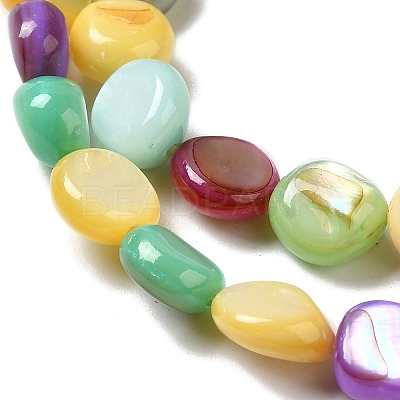 Natural Freshwater Shell Beads Strands SHEL-K006-32-1