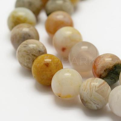 Natural Bamboo Leaf Agate Beads Strands G-K194-6mm-01-1