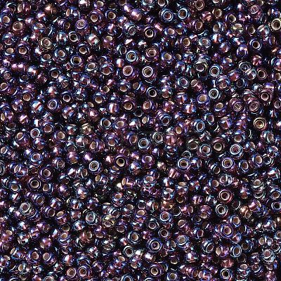 MIYUKI Round Rocailles Beads X-SEED-G007-RR1013-1
