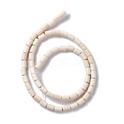 Synthetic Turquoise Beads Strands TURQ-G120-4x6mm-12-1