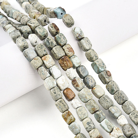 Natural Variscite Beads Strands G-N346-04A-11-1