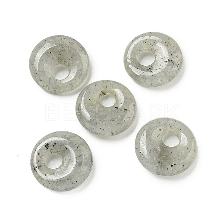 Natural Labradorite Donut/Pi Disc Charms G-G142-02Q-1