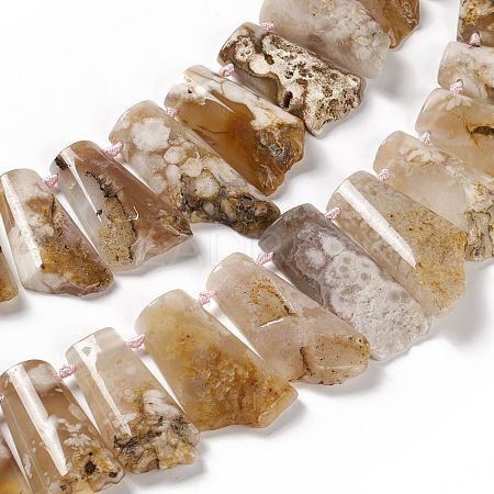 Natural Cherry Blossom Agate Beads Strands G-F719-12-1