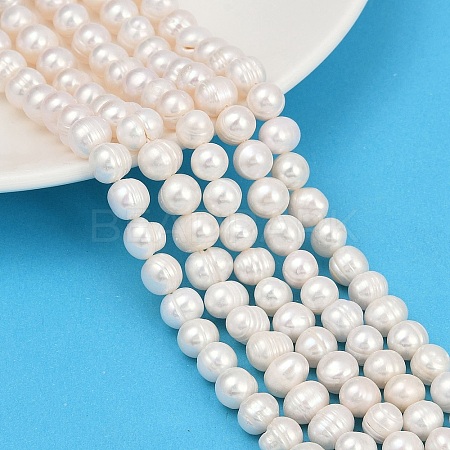 Natural Cultured Freshwater Pearl Beads Strands PEAR-I007-07J-05A-1