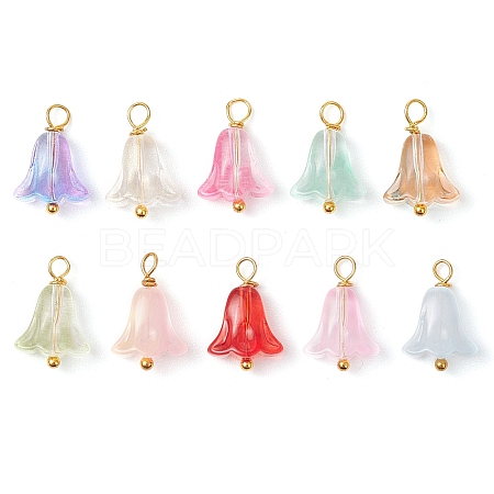 20Pcs Glass Beads Pendants PALLOY-JF03103-1