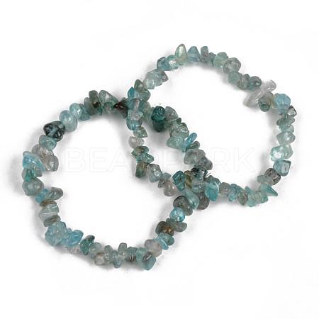 Unisex Chip Natural Apatite Beaded Stretch Bracelets BJEW-S143-54-1