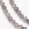 Natural Labradorite Bead Strands G-P213-38-2mm-1