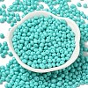 6/0 Opaque Baking Paint Glass Seed Beads SEED-M012-02A-01-2