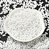 Opaque Colours Luster Glass Seed Beads SEED-B001-01A-12-2
