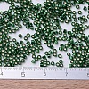 MIYUKI Delica Beads SEED-J020-DB0148-4