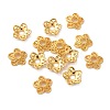 Tibetan Style Alloy Bead Caps LS-K0P34012-1