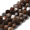 Natural Petrified Wood Beads Strands G-Z119-A21-02-3