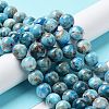 Natural Apatite Beads Strands G-G858-01C-4