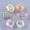 Transparent Acrylic Bead Caps TACR-T007-01-1