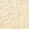 11/0 FGB Grade A Transparent Glass Seed Beads X-SEED-N001-E-301-2