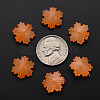 Imitation Jelly Acrylic Beads MACR-S373-92-E05-4