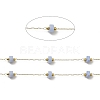 Ion Plating(IP) 316 Surgical Stainless Steel Paperclip Chains CHS-I019-12O-2