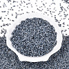 12/0 Ceylon Round Glass Seed Beads X-SEED-A011-2mm-149-1