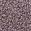 MIYUKI Delica Beads SEED-J020-DB2321-3