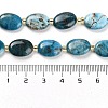 Natural Apatite Beads Strands G-H005-A03-02-5