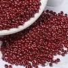 MIYUKI Round Rocailles Beads X-SEED-G008-RR0426-1