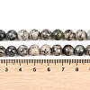 Natural K2 Stone Beads Strands G-K405-B03-8mm-6