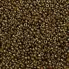 MIYUKI Round Rocailles Beads X-SEED-G009-RR0311-2