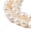 Natural Cultured Freshwater Pearl Beads Strands PEAR-P064-19J-06D-4