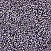 MIYUKI Delica Beads SEED-JP0008-DB1065-3