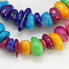 Natural Shell Beads Strands X-BSHE-D004-2-1