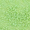 Baking Paint Glass Seed Beads SEED-L011-09A-18-3