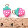 Handmade Polymer Clay Charms CLAY-C008-01-3