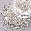 Glass Bugle Beads SEED-S032-08A-21-1