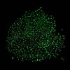 Luminous Glass Seed Beads SEED-A033-07E-5