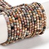 Natural Agate Beads Strands G-G991-C02-01-1