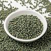 MIYUKI Round Rocailles Beads SEED-X0055-RR2033-2
